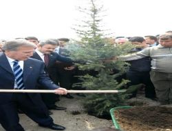 Tbmm 90. Yıl Hatıra Ormanına 13 Bin 700 Fidan Dikilecek