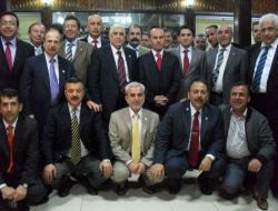 TBMM Heyeti, Cizre'de Tarihi Mekanları Gezdi!