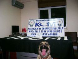 Kızıltepe'de 11 Bin Adet Uyuşturucu Hap Ele Geçirildi!