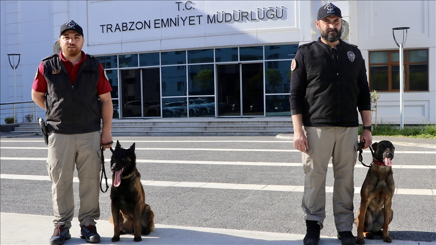 Trabzon'da hassas burunlar "Maya" ve "Liya" uyuşturucuyla mücadelede önemli rol alıyor