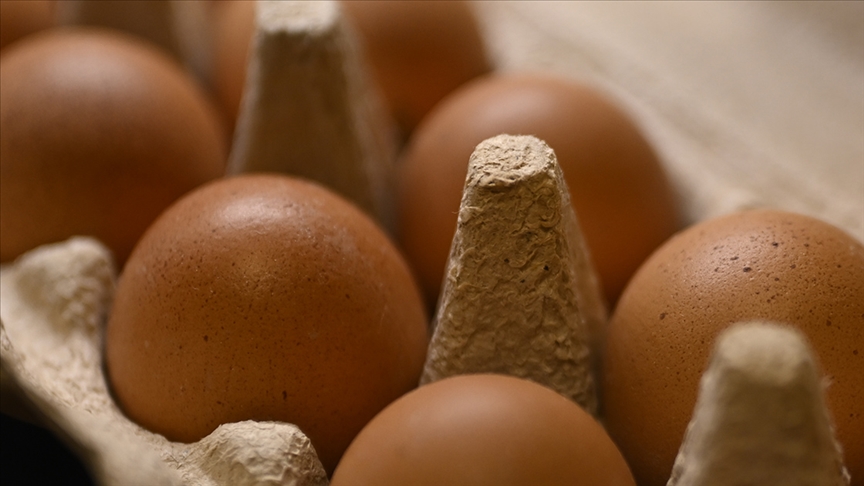 Yumurtada ihracat süreçleri ve fon kesintisi kararları fiyatları aşağı doğru çekti