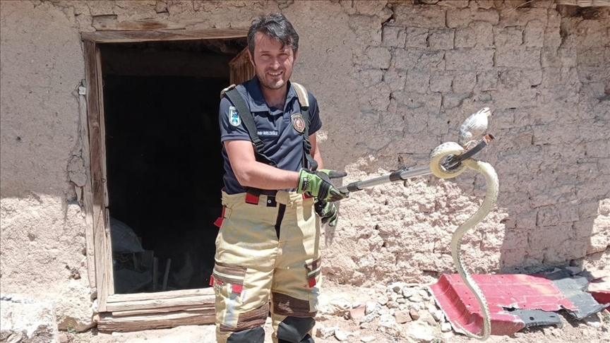 Başkent İtfaiyesi 4 ayda 1388 hayvanı kurtardı