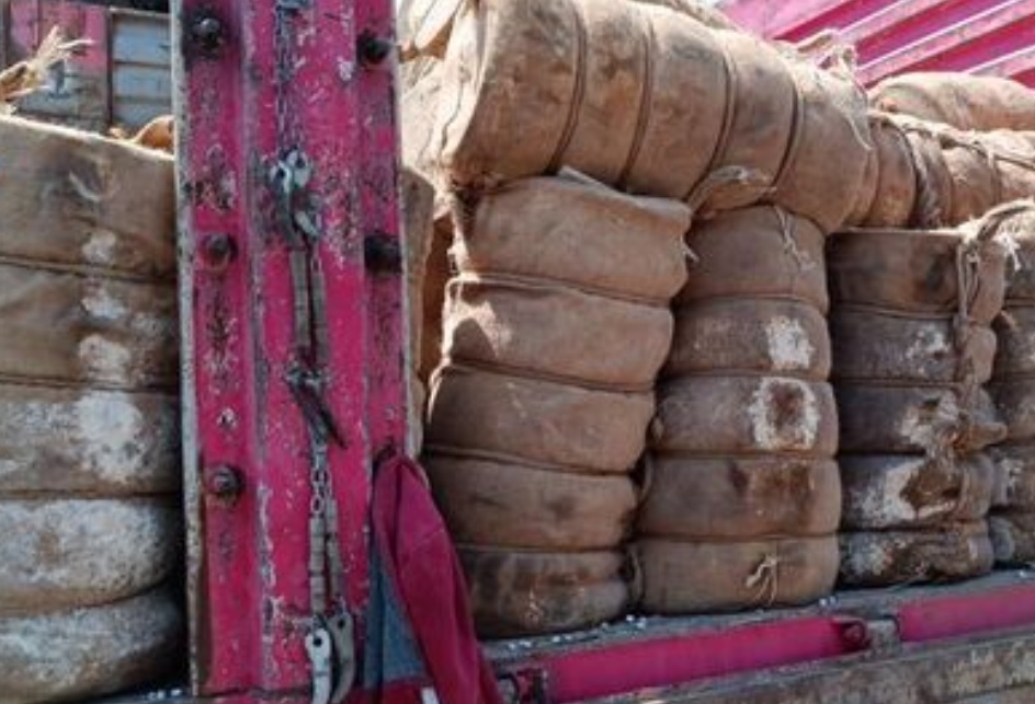 Vatandaşları göz göre göre zehirleyeceklerdi: Tam 7 Ton Peynir İmha Edildi