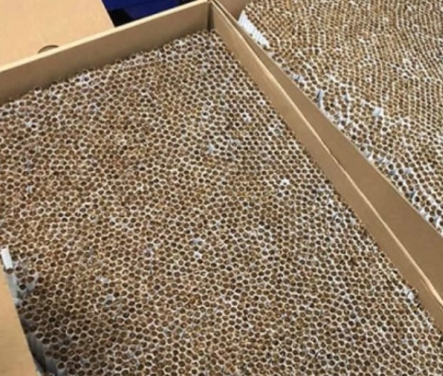 MAKARON ÜRETİM TESİSLERİNDE KAMERA İZLEME SİSTEMİNİN BULUNMASI ZORUNLU OLACAK