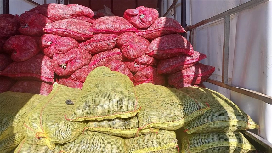 ANADOLU OTOYOLU'NDA DURDURULAN KAMYONETTE KAÇAK AVLANAN 5,4 TON MİDYE ELE GEÇİRİLDİ