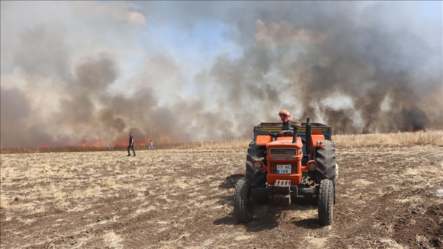 Manisa'da buğday tarlasında yangın kontrol altında!