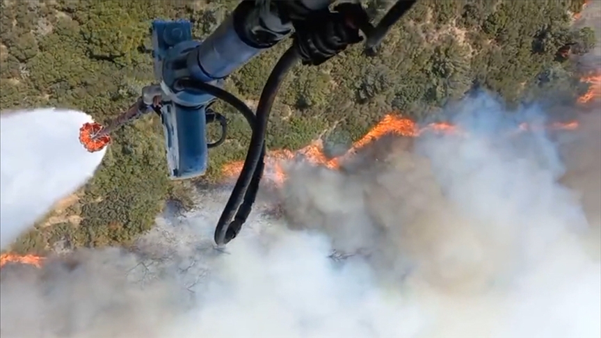 İZMİR'İN FOÇA İLÇESİNDE ORMAN YANGINI