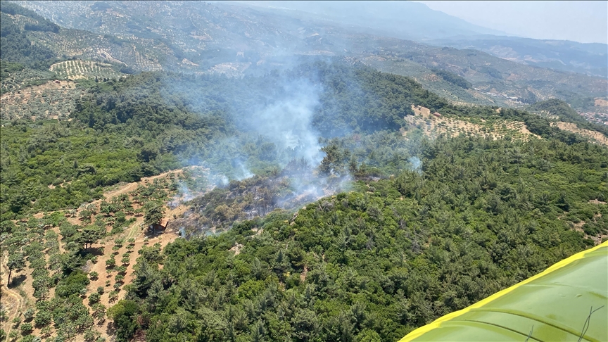 AYDIN'IN GERMENCİK İLÇESİNDE ORMANLIK ALANDA YANGIN ÇIKTI
