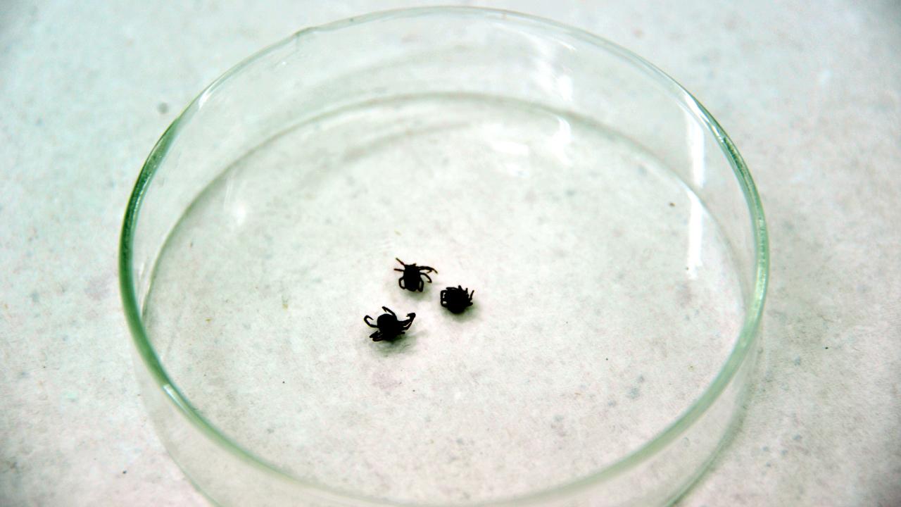 ÇANKIRI'DA KKKA ŞÜPHESİYLE ÖLÜM