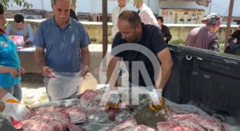 SİNOP'ta KAÇAK AVLANAN 1611 KALKAN BALIĞI ELE GEÇİRİLDİ