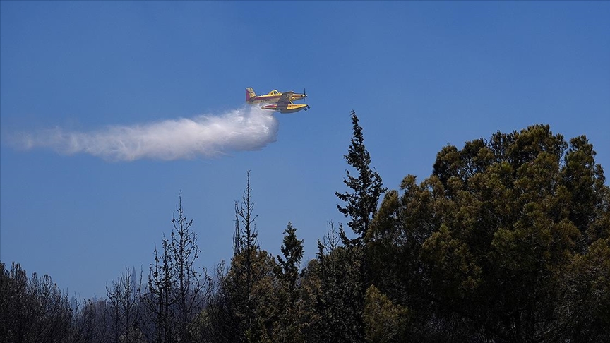 Orman yangınlarıyla ilgili soruşturmalarda 17 şüpheli gözaltına alındı