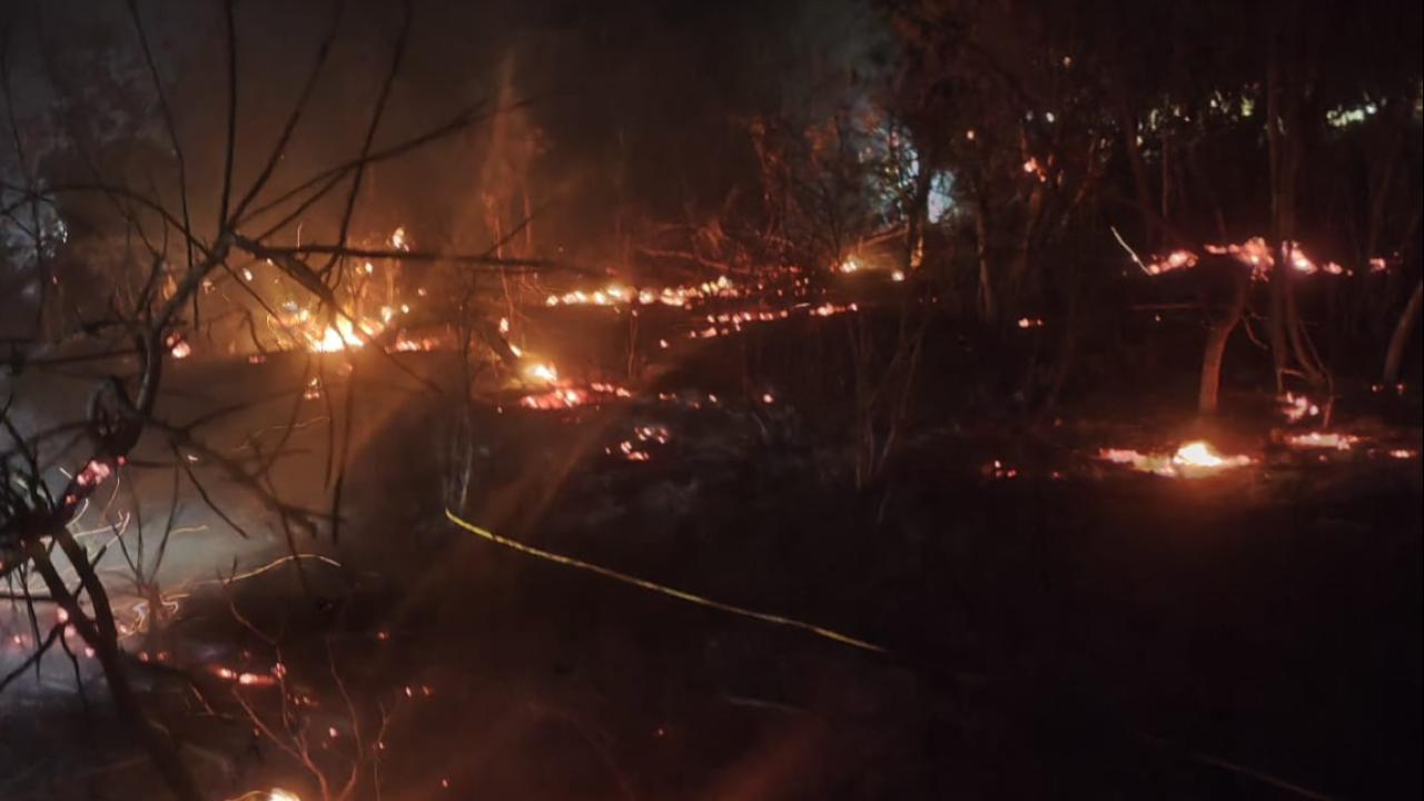 MERSİN'DE ORMAN YANGINI