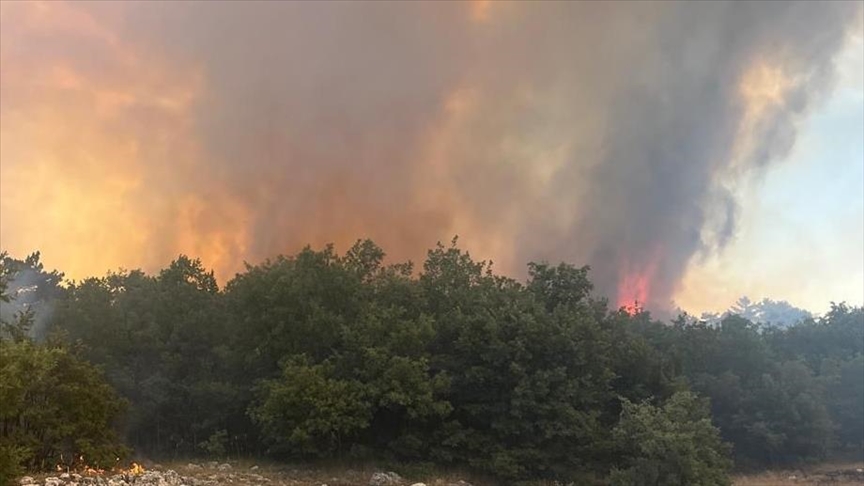 ESKİŞEHİR'DE ÇIKAN ORMAN YANGININA MÜDAHALE EDİLİYOR