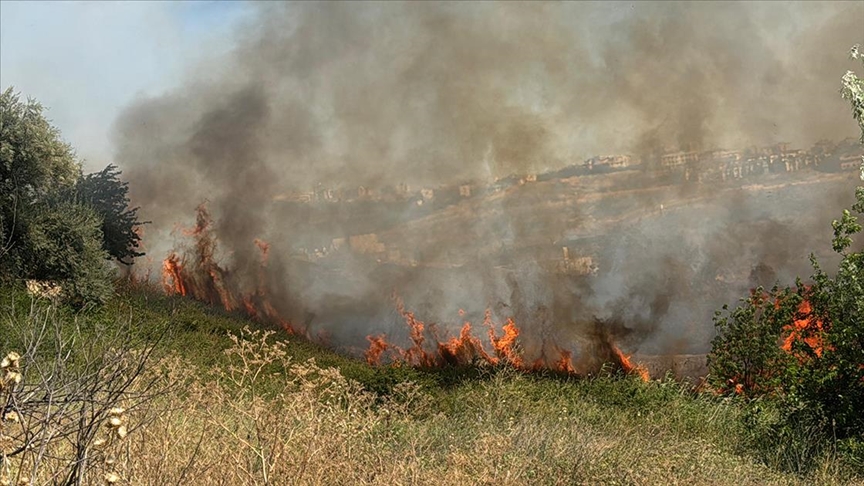 SICAKLIKLAR ARTIYOR / BÜYÜKÇEKMECE'DE OTLUK ALANDA YANGIN ÇIKTI!