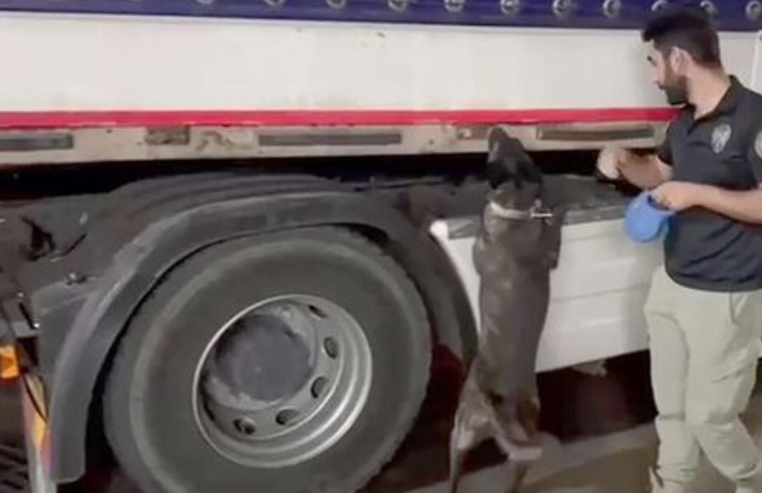 Iğdır'da bir tırda 344 kilo sentetik uyuşturucu ele geçirildi!