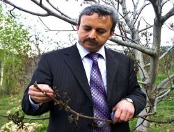 "Etiketsiz ve Sertifikasız Tohum Almayın"