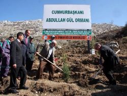 Burdur'da Cumhurbaşkanı Abdullah Gül Ormanı Oluşturuldu