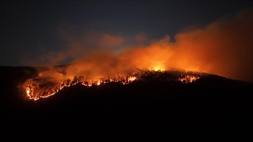 Çankırı'da 4 gün önce yanan ormanlık alanda yeniden yangın çıktı!