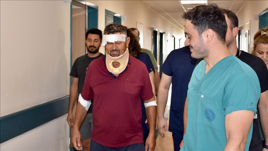 Antalya'da aslanın saldırması sonucu yaralanan kişi taburcu edildi