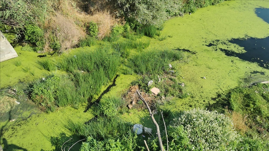 KURAKLIK NEDENİYLE LÜLEBURGAZ DERESİ'NİN DEBİSİ DÜŞTÜ