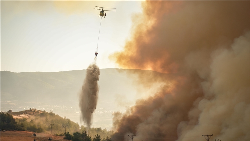 SAKARYA'DA ORMANLIK ALANDA ÇIKAN YANGIN BİLECİK TARAFINA SIÇRADI
