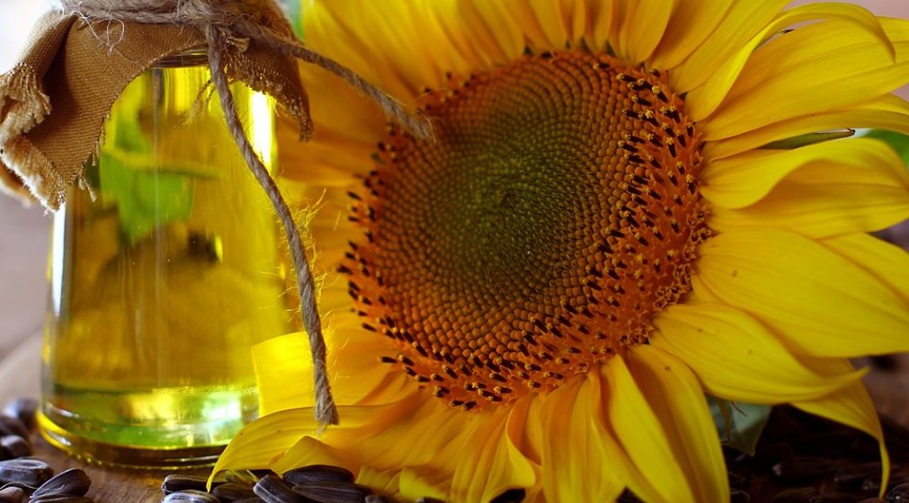 Yağlık Ayçiçeği Tohumu ve Ham Ayçiçeği Yağı İthalatında Tarife Kontenjanı