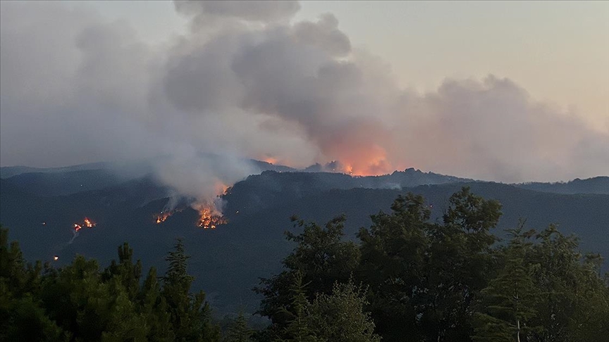 ESKİŞEHİR'DE 10 KİŞİNİN ŞEHİT OLDUĞU ORMAN YANGINIYLA İLGİLİ SORUŞTURMA BAŞLATILDI