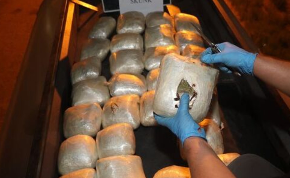 İstanbul'da Uyuşturucu Operasyonu: 144 Kilo Skunk Ele Geçirildi