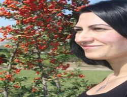 Kürtçe Kısa Film Yarışması'nın Logosu Yarışmayla Belirlenecek