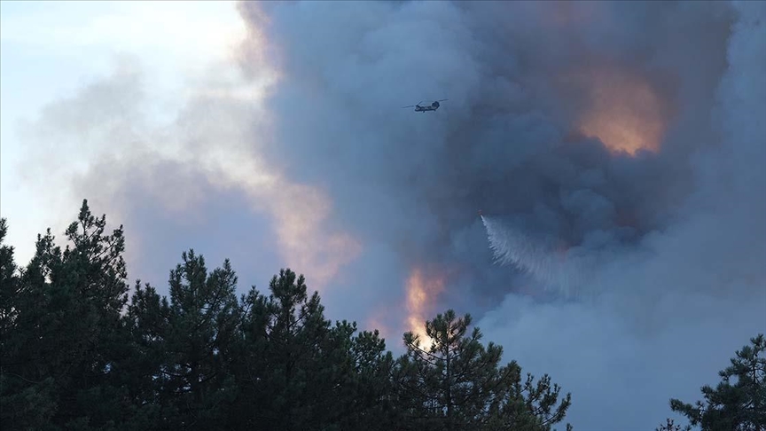 BURSA'DA GÜRSU VE KESTEL ARASINDAKİ ORMANLIK ALANDA YANGIN