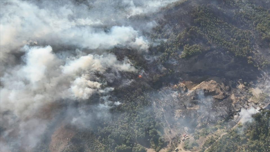 BAKAN YERLİKAYA DUYURDU / YANGINLARLA İLGİLİ 3 KİŞİ TUTUKLANDI