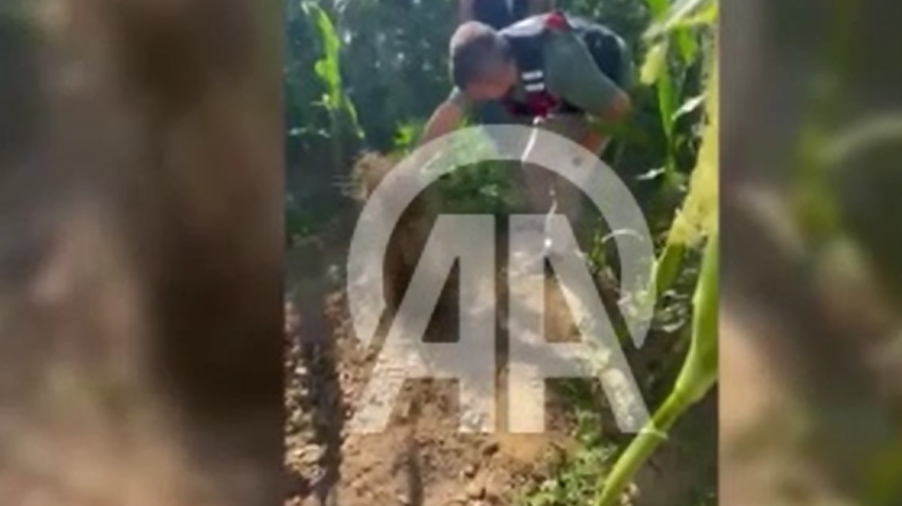 MUĞLA'da uyuşturucu operasyonunda 1 kişi yakalandı