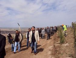 Özürlüler Derneği Üyeleri Hatıra Ormanı Oluşturdu