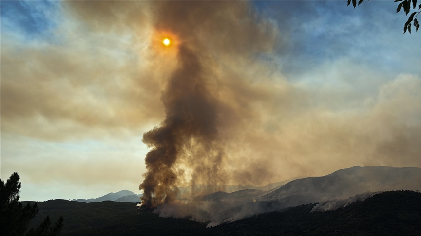 Portekiz ve İspanya orman yangınları ve aşırı sıcaklara karşı üst düzey alarmda