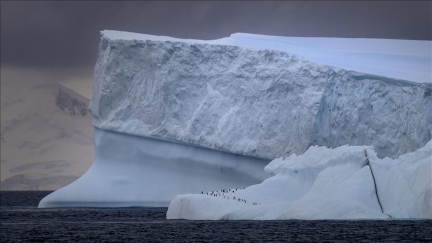 "KUTUP BÖLGELERİ KOORDİNASYON KURULU" KURULDU