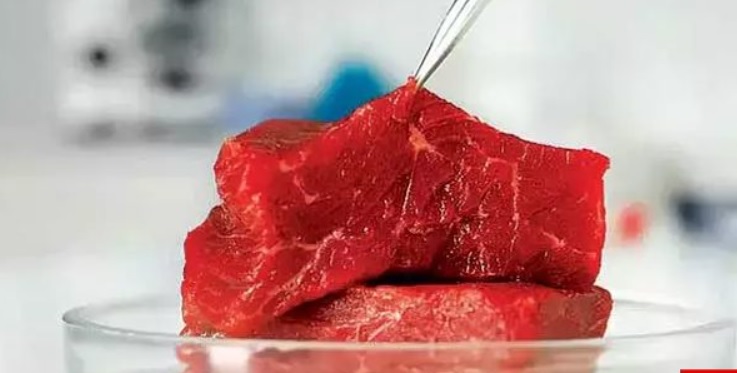 TARIM VE ORMAN BAKANI YUMAKLI, "YAPAY ET" İDDİALARINA YANIT VERDİ