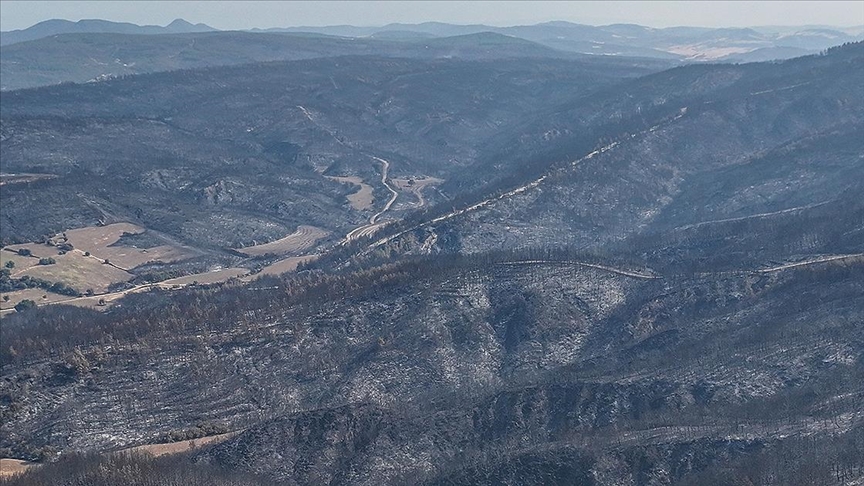 ÇANAKKALE'DE YANGINDA ZARAR GÖREN ALANLAR DRONLA GÖRÜNTÜLENDİ