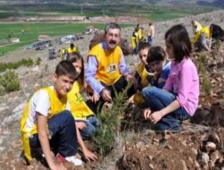 Zile'ye 13 Bin Fidan Dikilecek