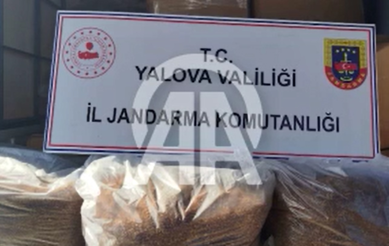 'YALOVA'DA KAÇAK TÜTÜN OPERASYONU'