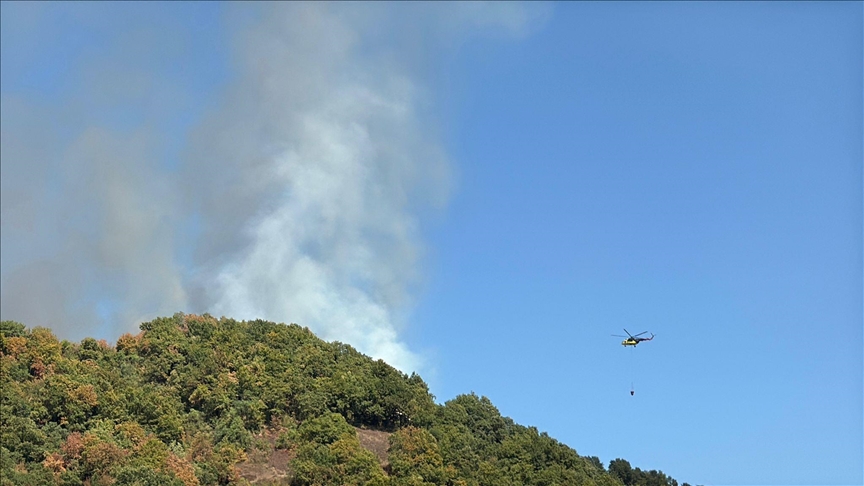 Düzce'de çıkan orman yangınına müdahale ediliyor
