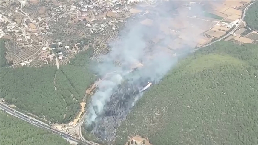Bodrum'da çıkan orman yangınına müdahale ediliyor