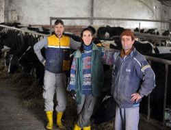 Sanayiciyle Üretici Anlaşamadı; Peynir Mayasına İlgi Arttı!