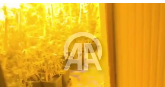 Konteynere iklimlendirme sistemi kurup uyuşturucu yetiştirdiler