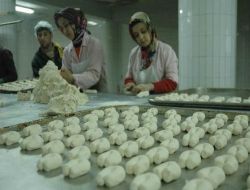 Kurabiye Satışından Yıllık 3 Milyon Liralık Ciroya Ulaştılar
