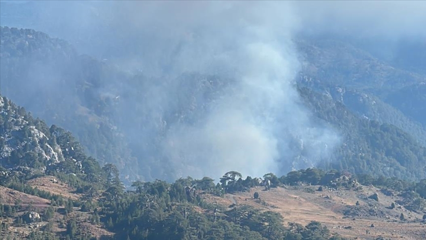 KÖYCEĞİZ'DE ÇIKAN ORMAN YANGININA MÜDAHALE EDİLİYOR