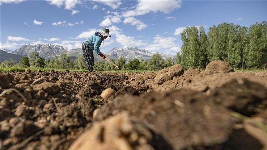 ÇİFTÇİLERE BUGÜN 4,5 MİLYAR LİRALIK DESTEKLEME ÖDEMESİ YAPILACAK