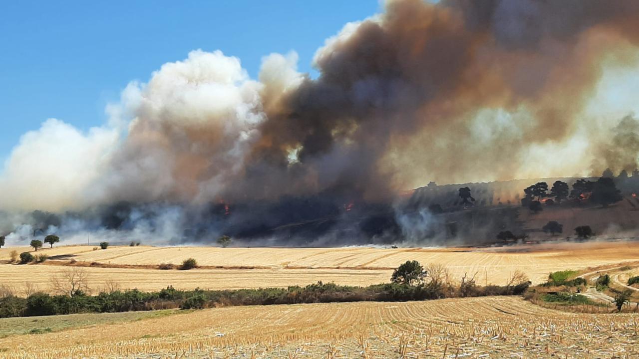 ÇANAKKALE'DE ORMAN YANGINI