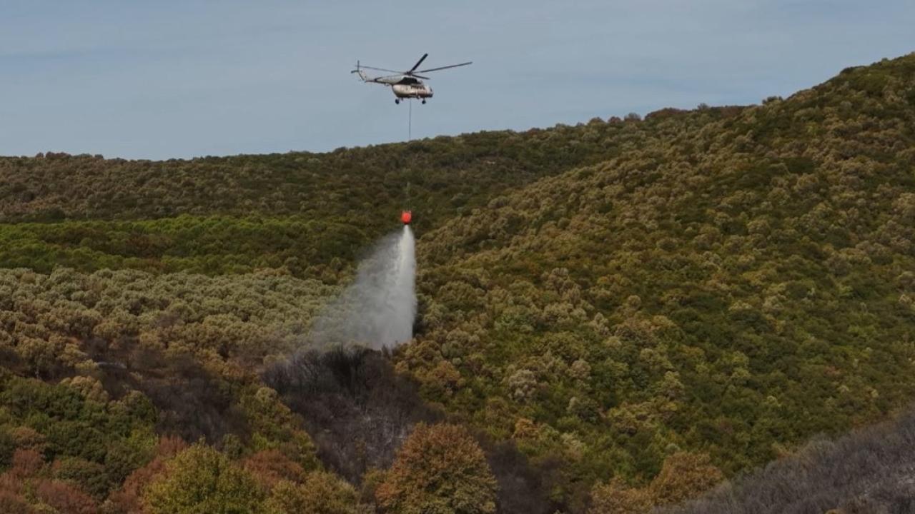 BURSA'DA ÇIKAN ORMAN YANGINI KONTROL ALTINA ALINDI