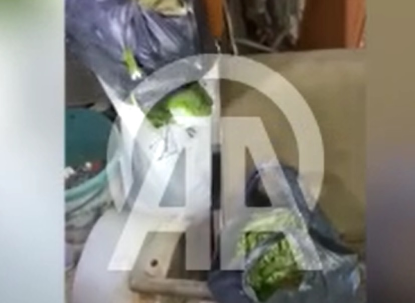 SAMSUN'DA EVİNDE 9 KİLO 660 GRAM ESRAR ELE GEÇİRİLEN ZANLI YAKALANDI