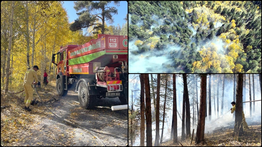 Sarıkamış'ta çıkan orman yangınında yaklaşık 1,5 hektar alan zarar gördü